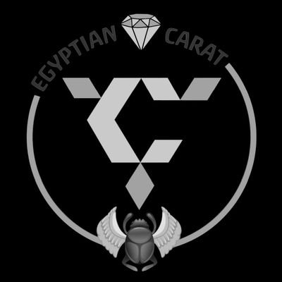 SEVENTEEN EGYPT 🇪🇬🇵🇸 (Egypt CARATs)さんのプロフィール画像