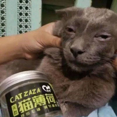 ttbydashee's profile picture. 
