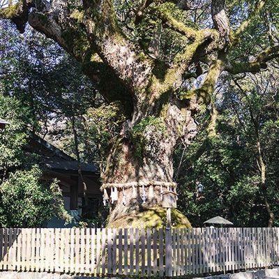 I0rwN1NtOF6565's profile picture. 🇯🇵 日本人の覚醒を願う一矢。
偽りの繁栄ではなく、真実の未来を子どもたちへ。
地上波が黙殺する現実に、声を上げ続ける。
知識も権力もない。だが、覚悟はある。
#紅蓮の弓矢プロジェクト