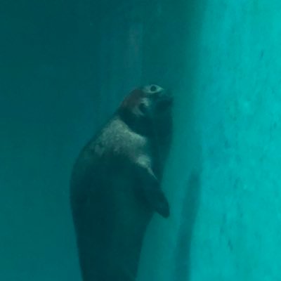 あきゃーぜんさんのプロフィール画像