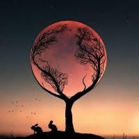 Asoya__sor's profile picture. 