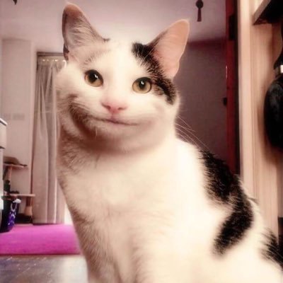 totolink2_4's profile picture. 