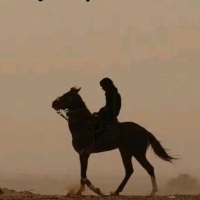 SyfAl35550's profile picture. عبدٌ فقير لله ..