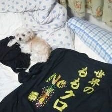 jijinofuhiroyu1's profile picture. ﾉﾌ→ｽﾀﾀﾞDD→ﾄﾞﾙｦﾀ入口
愛犬の名前はtmmn  愛踊祭でﾊﾏったフルーレットは伝説( *¯ ꒳¯*)✨
またぎForever
KSDD街道まっしぐら
2024彩羽神社にてモノ草ﾃﾞﾋﾞｭｰ…
合間に競艇

ﾖｺﾞﾚ生まれｶﾞﾗ悪育ち 生活水準低そなﾔﾂだいたい友達
無言フォロー歓迎