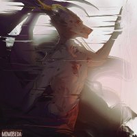 Lore keeper in Training (@anubis_f0x) 's Twitter Profile