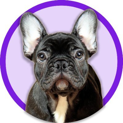 👉 Welcome to @frenchieclub_
🐕 We share daily #frenchie Contents
🐾 Follow us if you really love frenchies