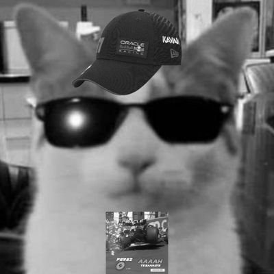 FraudePerez_'s profile picture. Chequista, MUY chequista