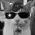 Fraude Pérez (@fraudeperez_) Twitter profile photo Fraude Pérez (@fraudeperez_) Twitter profile photo
