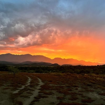 The wind knows my name. The Karoo captured my heart. I follow the Nazarene. My silence is where stupid goes to die.