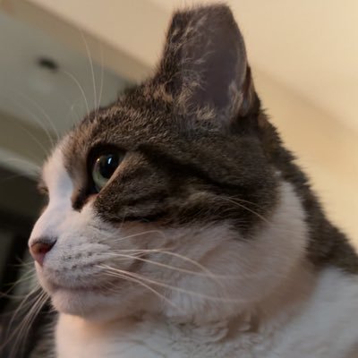 Add a bio to your profile