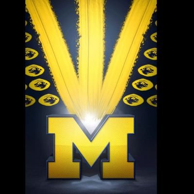 The RAIDERNATION, MICHIGAN WOLVERINES, LETS GO PENS,CHISOX WHITETAIL HUNTER........