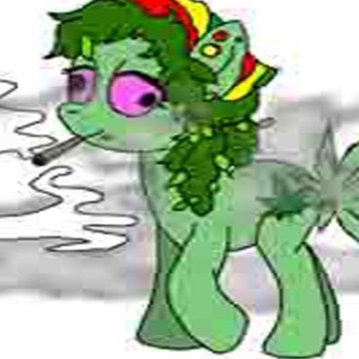 amanhessibolada's profile picture. nada demais