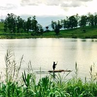 Bérenger_lw (@bereng_lw) 's Twitter Profile