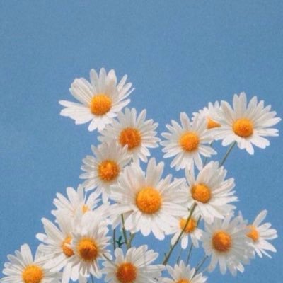 Min2580Min's profile picture. 