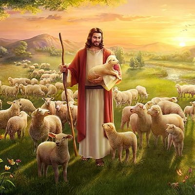 PCshepherd24's profile picture. Rory stan | North Face Penthouse Alumnus | Knower of Infectious Diseases #Mindset #PCBC