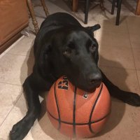Hannah kat crouch (@hcrouch25395) 's Twitter Profile