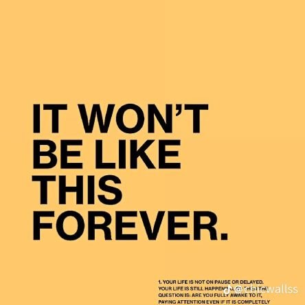 JohnsonOla63045's profile picture. 