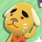 n_rrr0's profile picture. ふりーらんさーの犬🐶細々と個人事業主やってます🫠