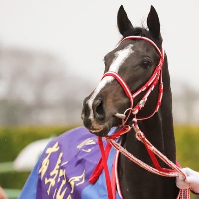 Gem07Sphene's profile picture. 競馬🐎大好き❤️   週末の中央競馬を楽しみに毎日がんばってます☺️