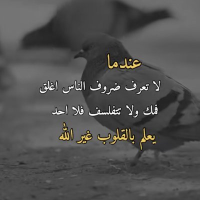 enes10111992's profile picture. 