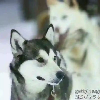 Ww91VrmUGQ0otjL's profile picture. 