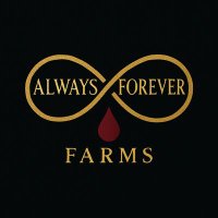 HEAD OF STATE🤵🏿 (@disiisrael) 's Twitter Profile Photo