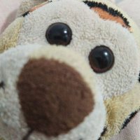 Fishguy🐟 (@mannyzin2) 's Twitter Profile Photo Fishguy🐟 (@mannyzin2) 's Twitter Profile Photo