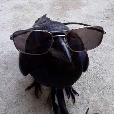 shinjigordo0's profile picture. no andar da carroça, as melancias se ajeitam