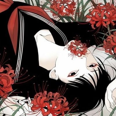 l3k1nk's profile picture. Cw: 105lbs/48kg. Gw¹: 95lbs/45kg. Gw²: ?. Lw: 90lbs/41kg. BMI: 17.8. 19 years.