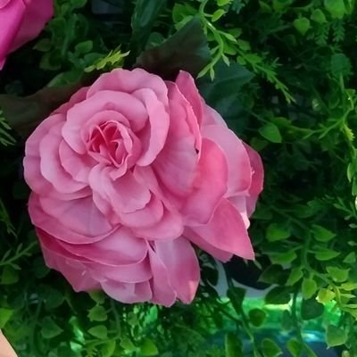 miduki_su's profile picture. すずしろです。関東民。歌い手さん実況者さんたちにホイホイされる人。ライブ行きてぇ。ライブの圧浴びてぇーよぉ。本垢あるけどこっちのが浮上率高めかも⚠️無言フォロービックリするのでフォローボタンの前にリプください。無いとブロ→解除です。⚠️V界隈の別垢有【公式写真の二次加工、無断転載絶対赦さんマン。ブロックします。】