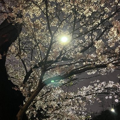 占い、カウンセリング、ネット関連が仕事。 リポストしてくれるとうれしい お礼にRP+いいね+フォロバします
@uk6128com
のサブ垢 アカウントが凍結になった時のため用? ※拡散用垢をリユース中