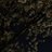 withered_rosese's profile image