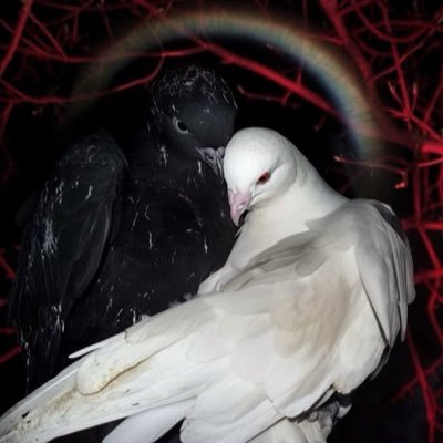 darkangelsoulz's profile picture. them | 22 | huh?