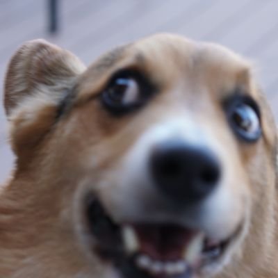 takashiro_0228's profile picture. 自分のことを無視して相手を助けてしまう、そんな一面あり。出会いと環境によってどんどん成長する。