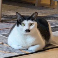 Jason wjq (@jasonwann) Twitter profile photo