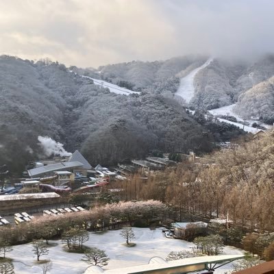 menrinkeiei1026's profile picture. 趣味読書|登山好き|サッカー観戦|格闘技観戦|マネジメント関心あり|心理的安全性高い組織目指す|偏向報道に反対|