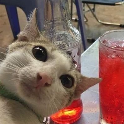 maさんのプロフィール画像