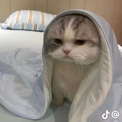 ramensushimi's profile picture. suka banget sushi dan wasabi + brownies, also pretty skies and the sea