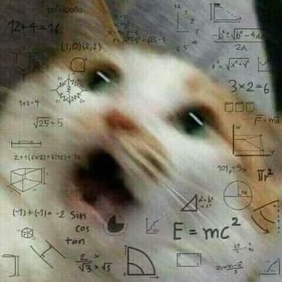 O_Gallego26's profile picture. 