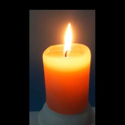 فرو چون کشد خونم از قلب پاک
خدا شاه میهن نویسم به خاک
