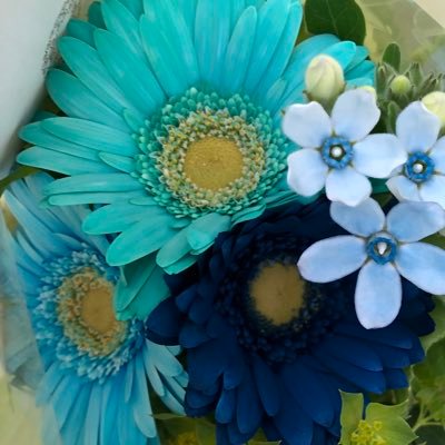 ohzora_daichi's profile picture. 歌やダンスやお芝居などを日々頑張っている子達を応援しています！EBiDAN NEXT(福岡:神田篤人,安東勇弥/大阪:髙橋夢人,岡本拓門/名古屋:石川綾眞,穴山和空/東京:有泉律,徳寿,大野遥斗/沖縄:西田瑛音/仙台:高橋駿斗)無言フォロー失礼します。お気軽にフォローしてください。