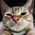 RYAN (@fusrodork86) Twitter profile photo