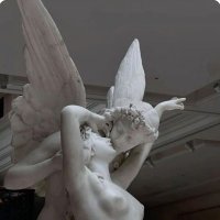 Ella (@papilloncache) 's Twitter Profile