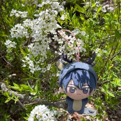 ひよりさんのプロフィール画像