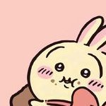 Elise1470680's profile picture. 熊本