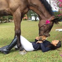 metra66 (@metra6602) 's Twitter Profile