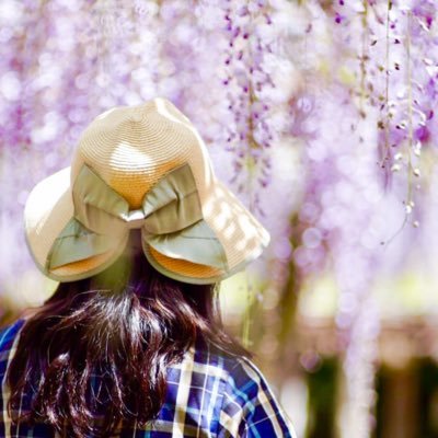 やこ𓅪𓈒𓂃𓈒𓏸︎︎︎︎週末低浮上型…さんのプロフィール画像