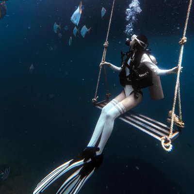 dlsmched's profile picture. Learn to succeed from failure🌺