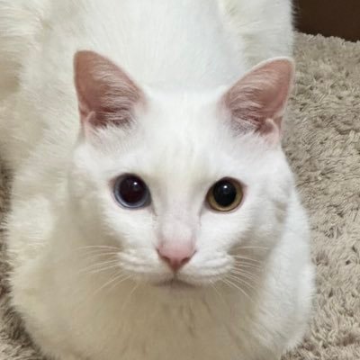 김 돗카리 털썩さんのプロフィール画像