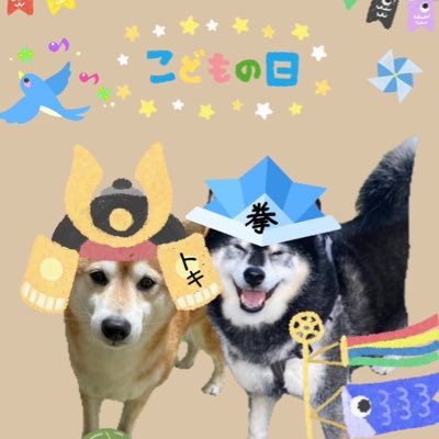 柴犬さんとスケート大好き関西人 浅田真央ちゃんが大大大好きです... 永遠に応援します❤️現在黒柴〔拳〕10歳、赤柴〔トキ〕9歳と賑やか暮らしております💕両足キスマイに浸かってしまいました。